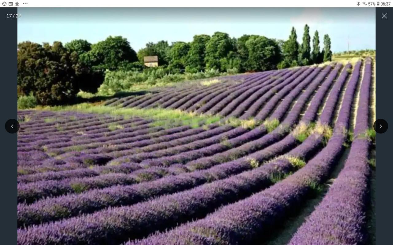 La Bonbonne En Provence Travaillan